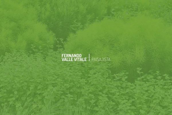 Fernando Valle Vitale