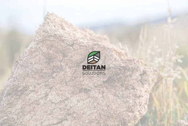 Deitan